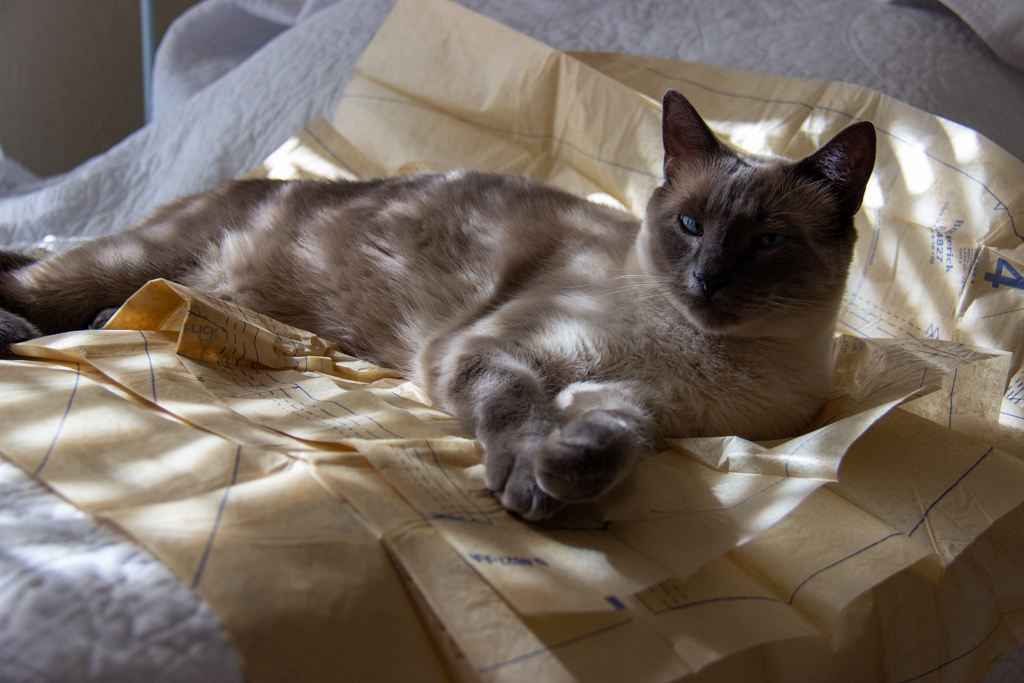 Moments from the past month