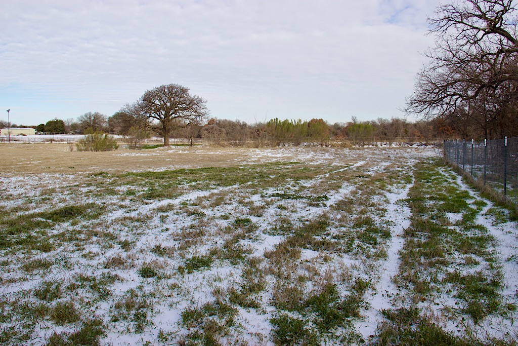 The apple that falls far from the&nbsp;tree